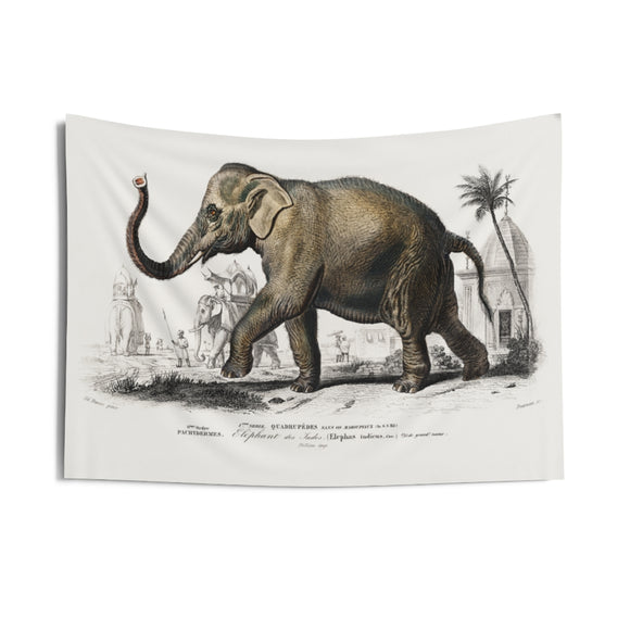 Asiatic Elephant Elephas Maximus Indicus Charles Dessalines D' Orbigny﻿ Wall Tapestry