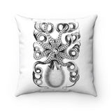 George Shaw Eight Armed Cuttlefish Illustration Accent Square Pillow