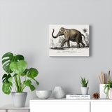 Asiatic Elephant Elephas Maximus Indicus Charles Dessalines D' Orbigny Canvas Wall Art